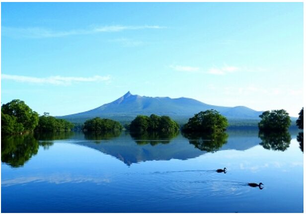 遊覧船で島巡りクルーズ